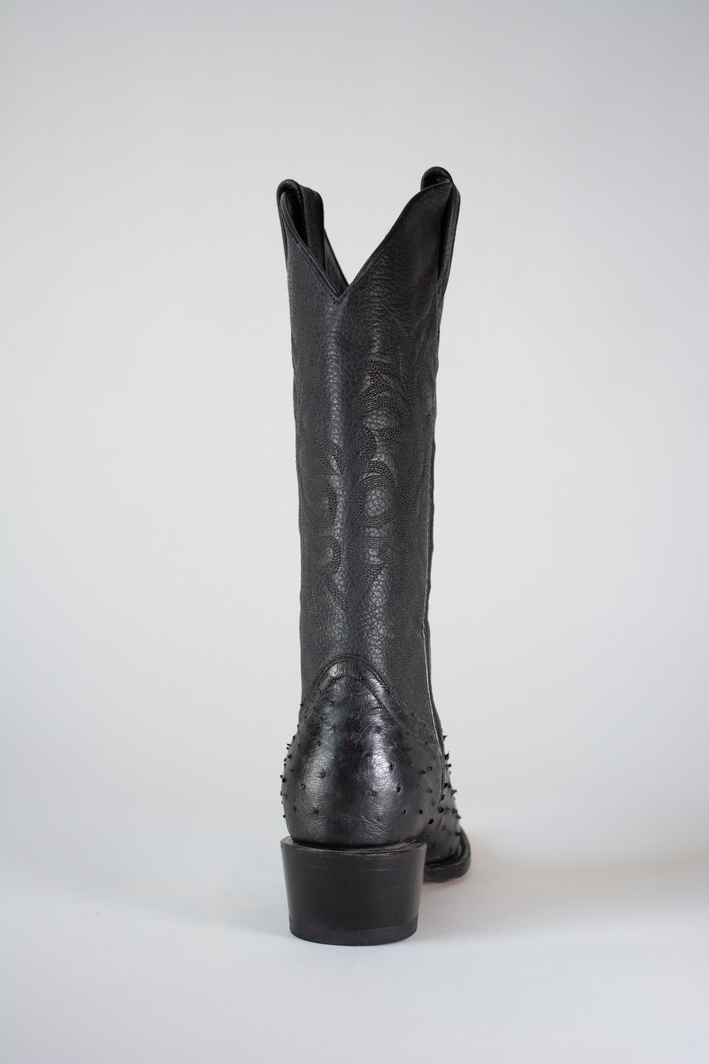 OSTRICH F