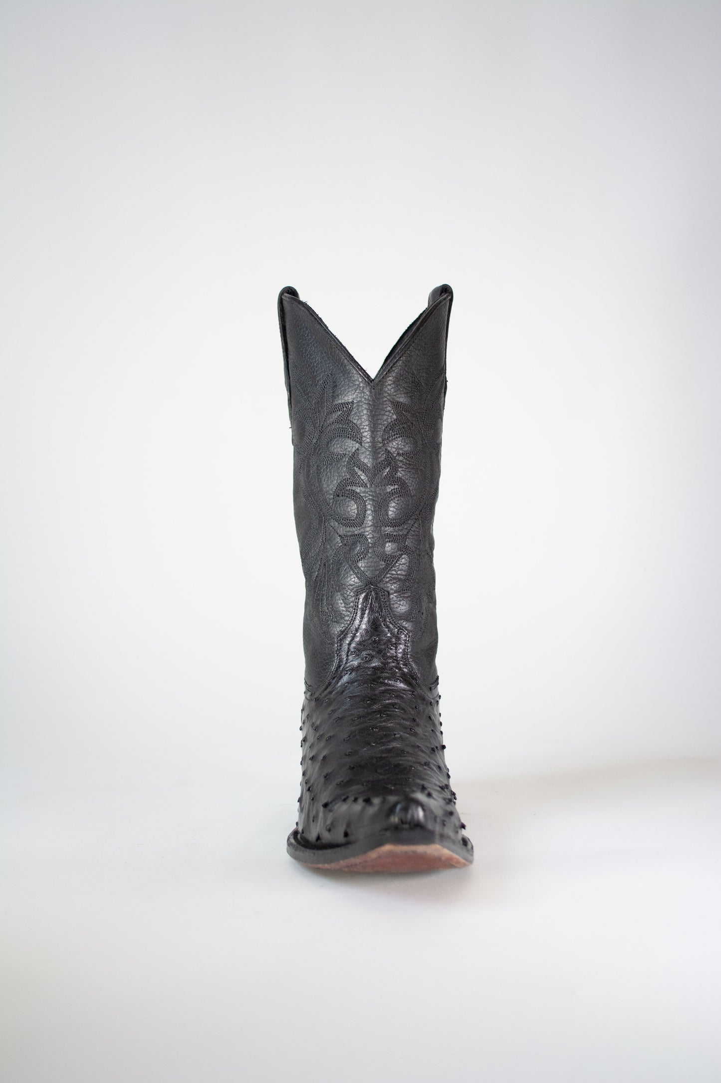 OSTRICH M